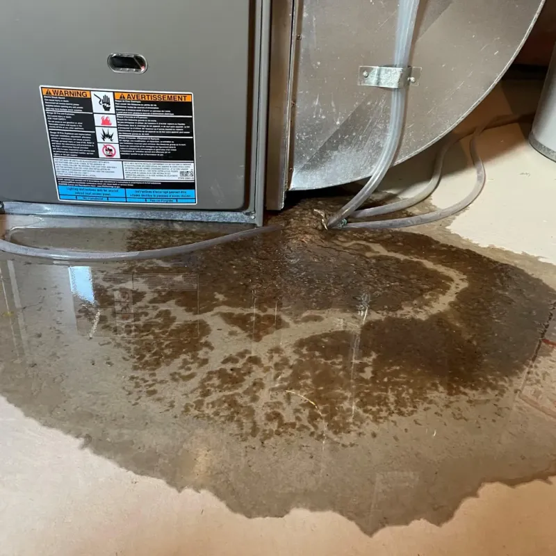 Appliance Leak Cleanup in Leilani Estates, HI