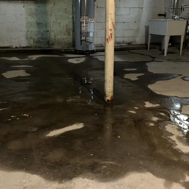 Emergency Water Extraction And Removal in Leilani Estates, HI